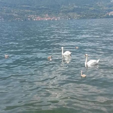 Appartamento Vista Lago - Betta Lezzeno Luaran gambar