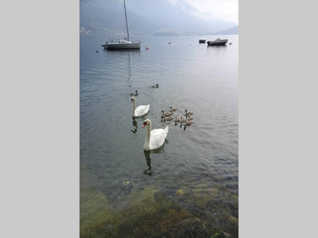 Appartamento Vista Lago - Betta Lezzeno Luaran gambar